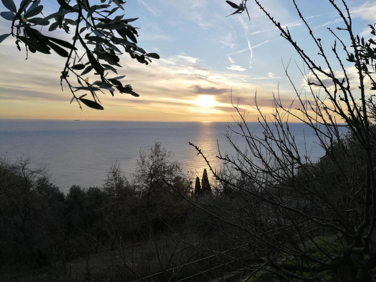 Villa Gio - Terrazza Nel Blu Bergeggi Exterior photo