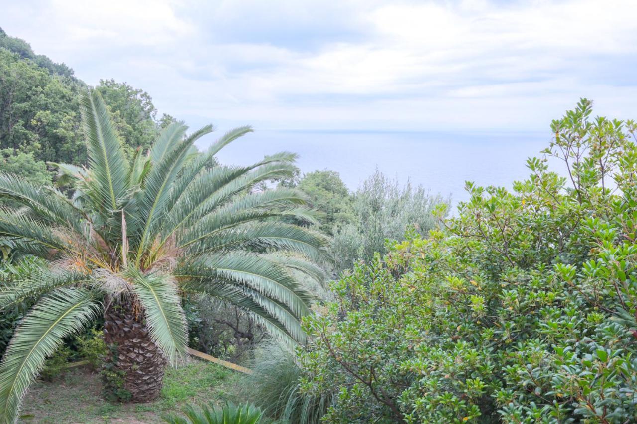 Villa Gio - Terrazza Nel Blu Bergeggi Exterior photo